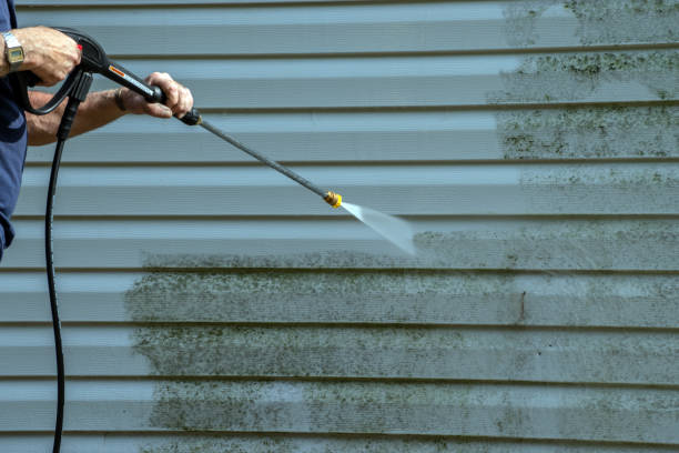Best Roof Washing  in Tyro, NC